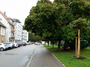 Bismarckstraße Richtung Friedenspark in Heilbronn